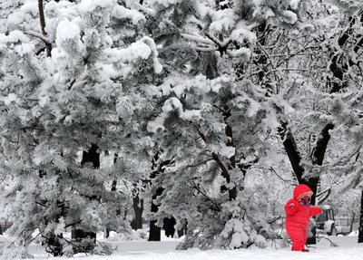 欧州各地の雪景色、風車から羊まで