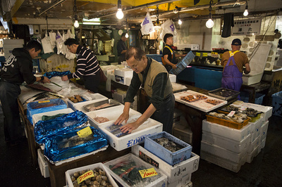 日本の水産物 対中輸出が激減