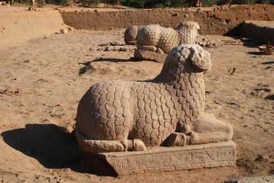 スーダンでヒツジの石像出土、サハラ以南アフリカ古代文明の解明に期待