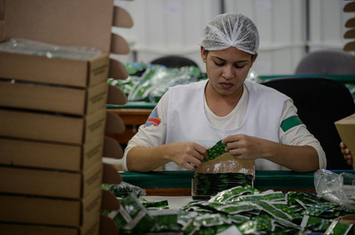 リオ五輪、選手1人にコンドーム40個超支給へ　ロンドンの3倍