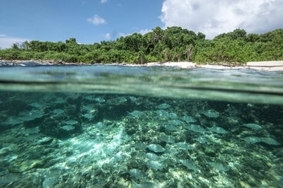 大規模観光より自然保護、西インド洋の島国セーシェル