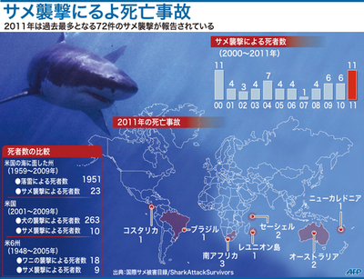 【図解】世界のサメ襲撃による死者数