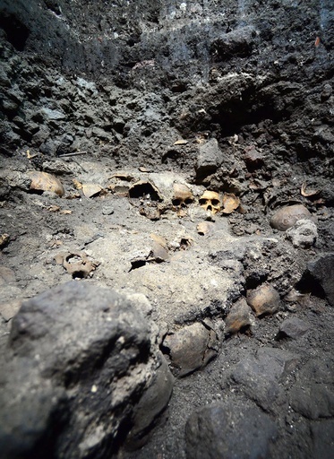 メキシコ市でアステカ族の祭壇跡見つかる、頭蓋骨も