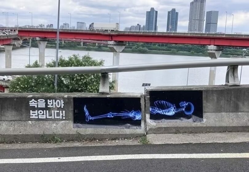聖水大橋南端の進入路で展開された公益広告＝MBNより (c)news1