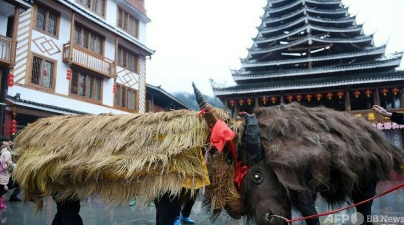 新年の豊作祈る中国の「わら牛パレード」