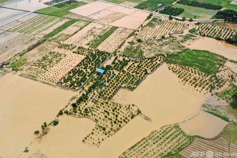 中国南部、豪雨による洪水 田畑や製材所が冠水