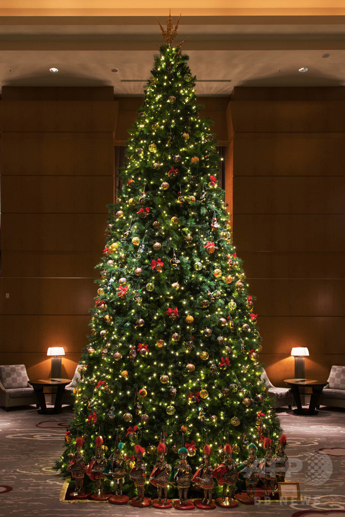 日本初「ドルチェ＆ガッバーナ」のクリスマスツリーが登場