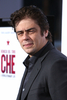 映画祭「AFI Fest 2008」で開催の『チェ（Che）』の上映会に出席した俳優のベニチオ・デル・トロ（Benicio Del Toro、2008年11月1日撮影）。(c)AFP/Getty Images/Frazer Harrison