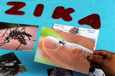 ジカウイルス、感染から2か月間精液に残存 英公衆衛生サービス