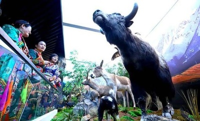 中国・祁連山脈の美しさを満喫できる自然博物館