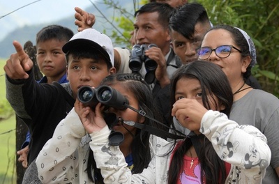 野鳥観察で和解を促進、コロンビア内戦終結から5年