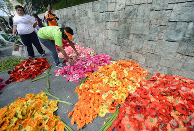 「花とおがくずのカーペット」、世界記録に挑戦 全長1400m
