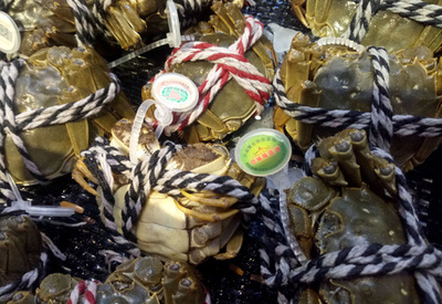 上海ガニの初もの、浙江から香港の食卓へ「速達」　初めての試み