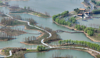 全世界で湿地からのメタンガス放出が急増 中米共同研究