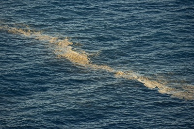 スペイン・カナリア諸島で藻が大量発生、観光客に注意喚起