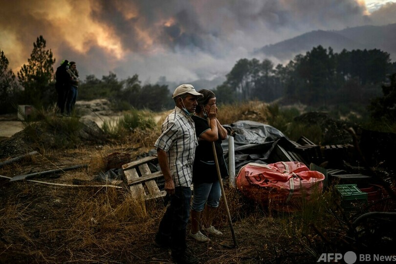 山火事の惨状を見る地元の人たち ポルトガル中部 写真15枚 国際ニュース Afpbb News