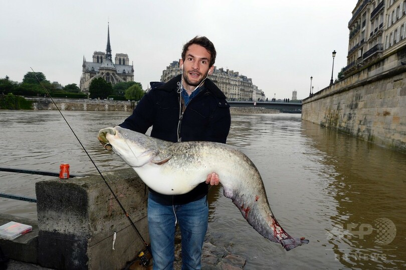 大物釣れた 大雨で氾濫のセーヌ川 フランス 写真2枚 国際ニュース Afpbb News