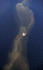 米南部ルイジアナ（Louisiana）州沖にあるシャンドルール諸島（Chandeleur Islands）付近の原油の帯の中をオイルフェンスを引きながら航行する船舶（2010年5月7日撮影）。(c)AFP/Mark RALSTON