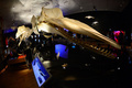 米ニューヨーク（New York）のアメリカ自然史博物館（American Museum of Natural History）では23日から、クジラの特別展「Whales: Giant of the Deep（クジラ：深海の巨大生物）」が始まる。クジラに関する最新の研究結果や、人類の文化にクジラが果たしてきた中心的役割などを紹介する。開催は来年1月5日まで。

写真は、20日に行われた内覧会の様子（2013年3月20日撮影）。(c)AFP/EMMANUEL DUNAND