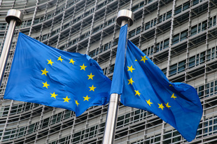 EU、野心的な環境政策を発表 2035年にガソリン車販売禁止など