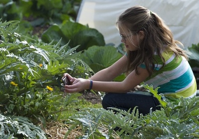 米本土、「近代史上最も暑い12月」を記録 NOAA