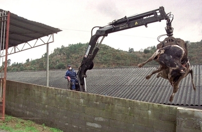 BSE感染で2人死亡、スペインで3年ぶり