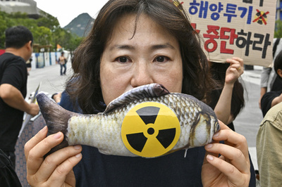 Japan PM eats 'safe and delicious' Fukushima fish