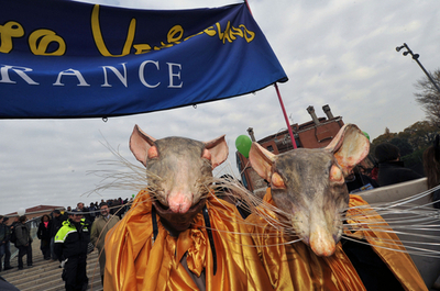 「ベネチアランドへようこそ」！？街のテーマパーク化にユーモアで抗議