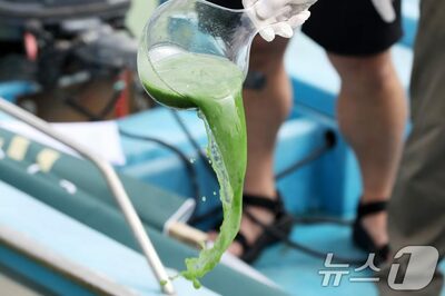 韓国・洛東江流域の住民の鼻腔から緑潮を確認…官民学共同調査を検討