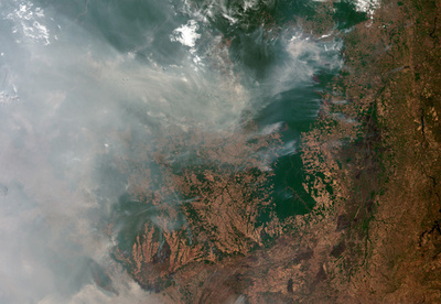 ブラジル国土の80%、森林火災の煙が覆う