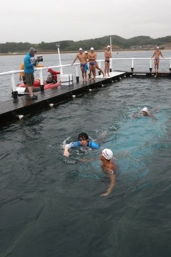 韓国遠泳リレー隊、竹島へ向け出発 15日上陸予定
