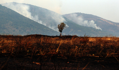 ブルガリアの山火事、懸命の消火活動が続く