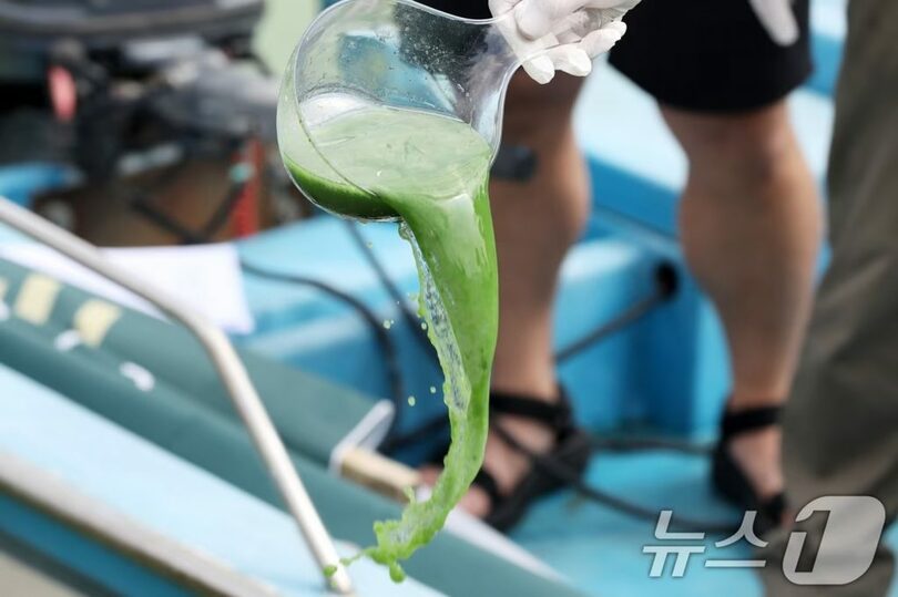 調査計画を明らかにする洛東江ネットワーク・大韓河川学会・環境運動連合のメンバー(c)news1