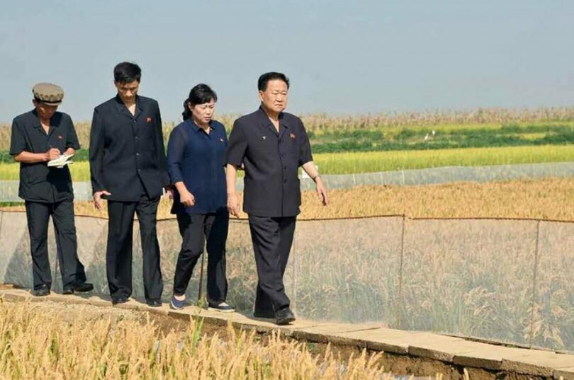 チェ・リョンヘ（崔龍海）最高人民会議常任委員長の「現地指導」を伝える労働新聞(c)KOREA WAVE