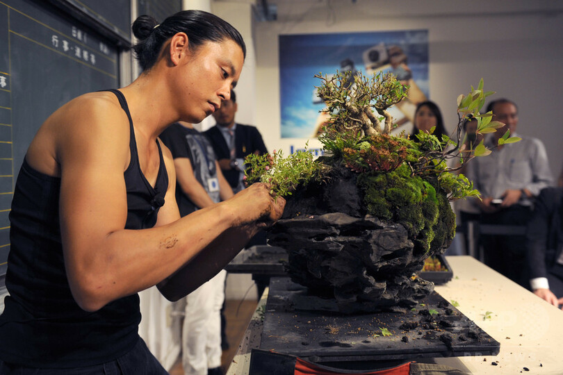 異色の盆栽師 平尾成志が魅せる現代のbonsai 写真1枚 国際ニュース Afpbb News