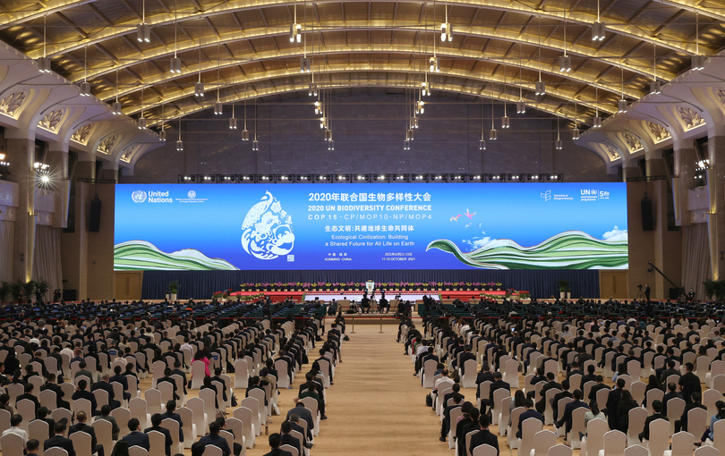 習近平主席「15億元拠出し、昆明生物多様性基金を設立」 COP15首脳級会合