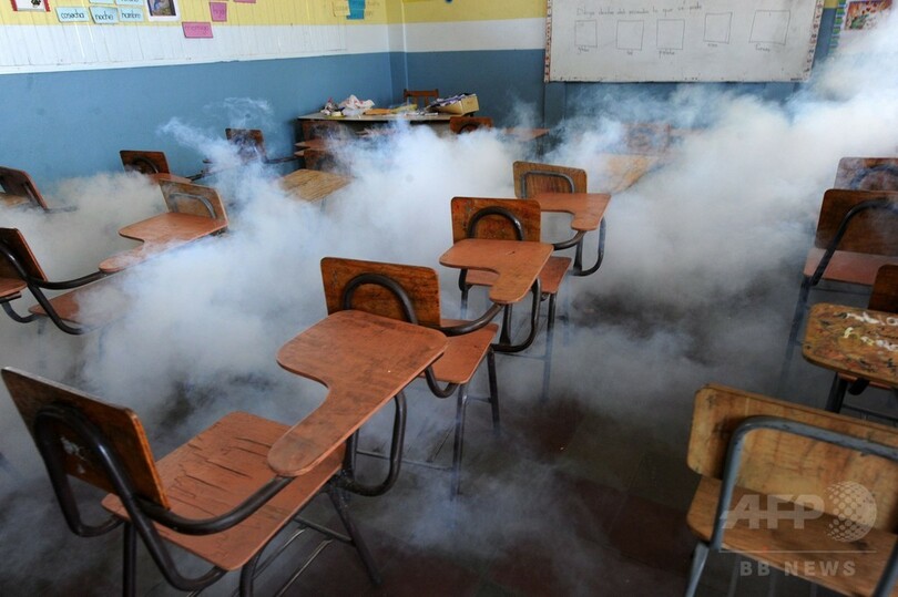 WHO、ジカ熱流行で緊急事態宣言