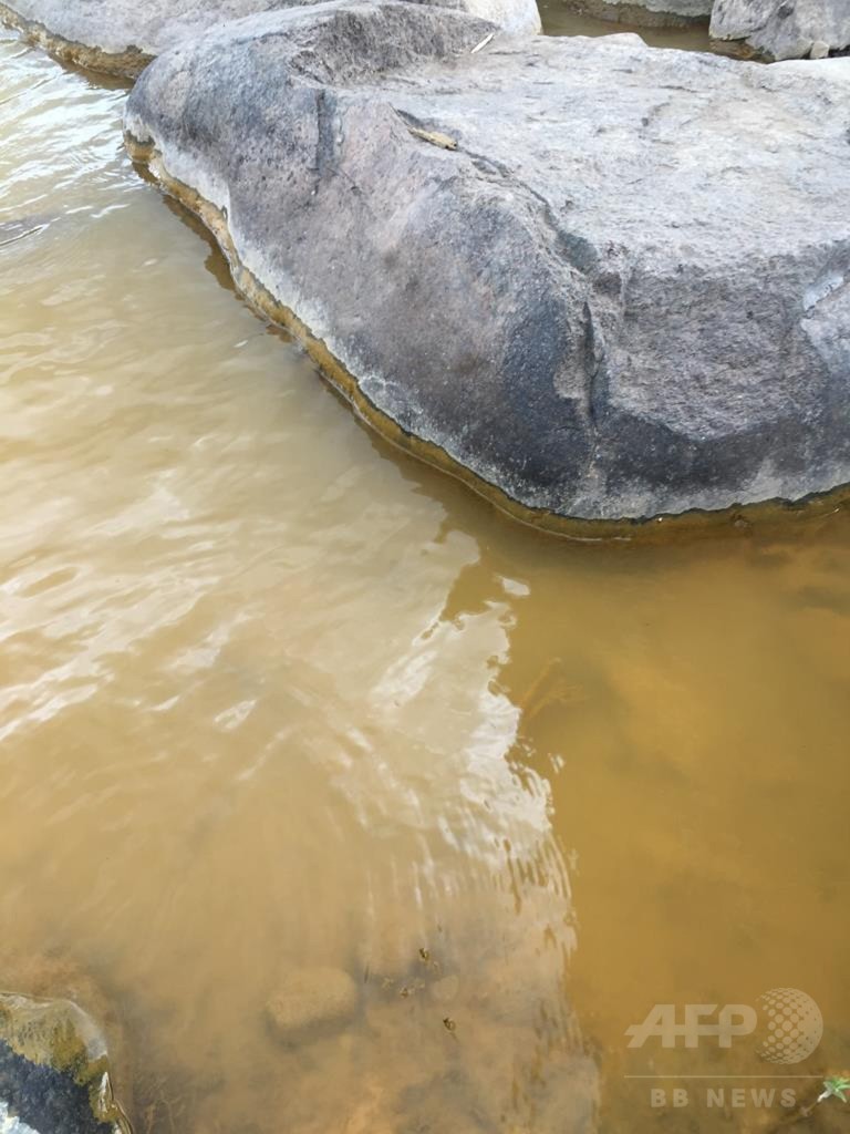 米環境保護局の職員が有毒廃水を流出、川がオレンジ色に