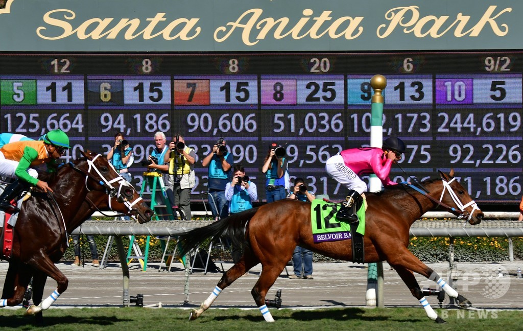 事故多発の米競馬場で犯罪行為の証拠なし、検察発表 事故多発の米競馬場で犯罪行為の証拠なし、検察発表
