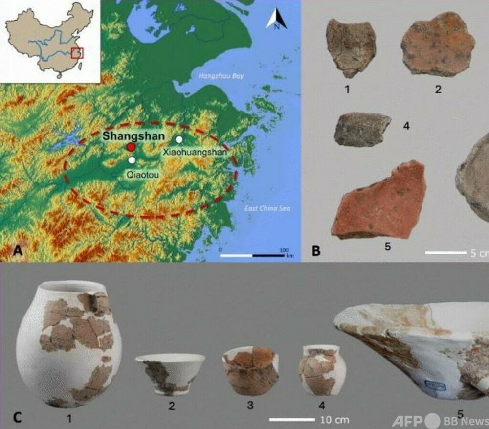 中国浙江省 1万年前の遺跡から東アジア最古の米酒醸造の証拠を発見