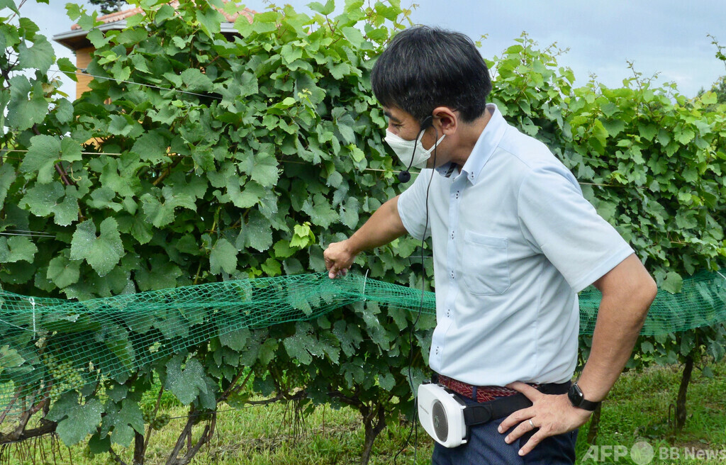 復興の今と未来を見つめて 福島環境再生ツアー レポート