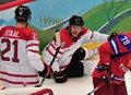 2010年%%バンクーバー冬季五輪%%アイスホッケー男子準々決勝、ロシア対カナダ。試合は第1ピリオドに4得点を奪ったカダナが7-3で勝利し、準決勝に進んだ。

　準決勝でカナダは、連覇を目指すスウェーデンとスロバキアの勝者と対戦する。

　写真はチームの得点を喜ぶカナダのコリー・ペリー（%%Corey Perry%%、中央）。（2010年2月24日撮影）(c)AFP/CRIS BOURONCLE