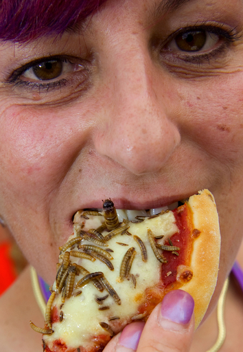 スイスの野外音楽フェス、｢虫ピザ｣のお味はいかが