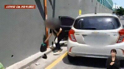 車運転、“遠征”して道端にこっそり生ゴミ投棄…韓国女性の行動、一部始終がドラレコに