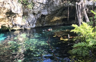 観光客に大人気、メキシコのトゥルム国立公園