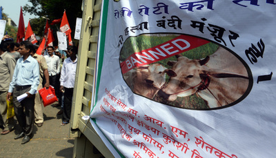 「牛食べた」と疑われた男性、約100人から暴行受け死亡 インド