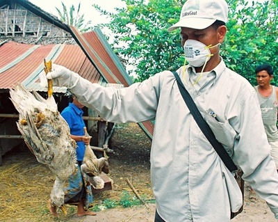 カンボジアで鳥インフルで35歳男性が死亡、今年8人目