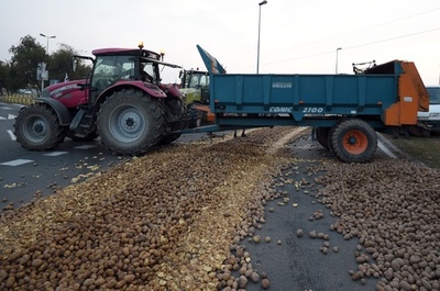 路上にジャガイモばらまき抗議、租税政策に怒る農家 フランス