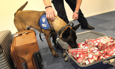 探知犬が3000万円超の現金発見、違法な輸送阻止 独空港