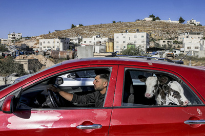 【今日の1枚】赤いスポーツカーで登場 パレスチナ自治区